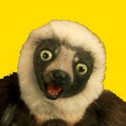 zoboomafoo